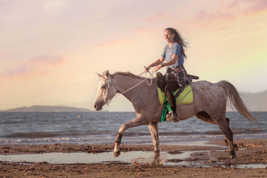 Arena Horse Riding