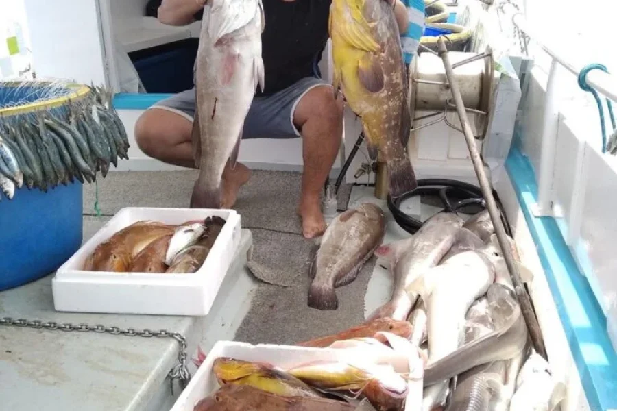 Fishing Trip